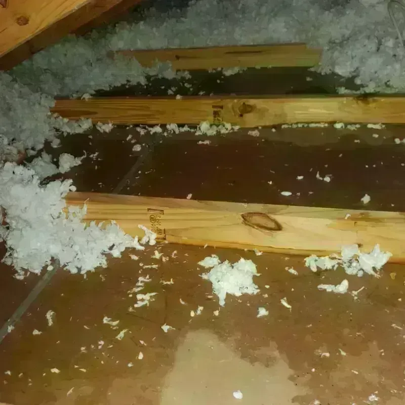 Attic Water Damage in Bridgewater, MA